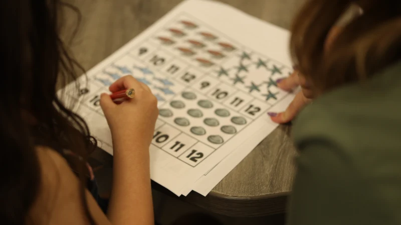 What includes an Autism Evaluation?